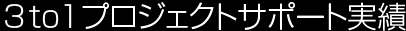 3to1プロジェクトサポート実績