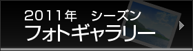 フォトギャラリー