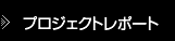 プリジェクトレポート