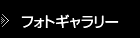 フォトギャラリー