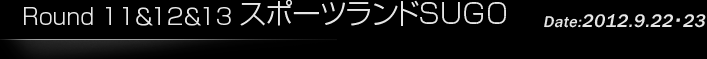 第11戦/第12戦/第13戦 スポーツランドSUGO